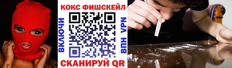 COCAIN Fish Scale  Купить закладки  Нерюнгри 