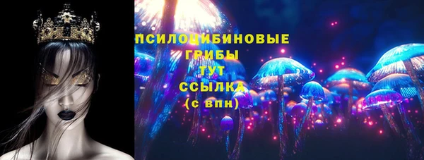 сатива Снежногорск