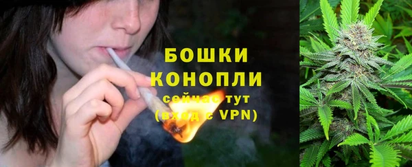 амф Снежинск